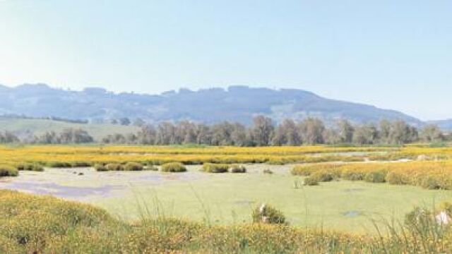 Cuatro décadas de protección de humedales