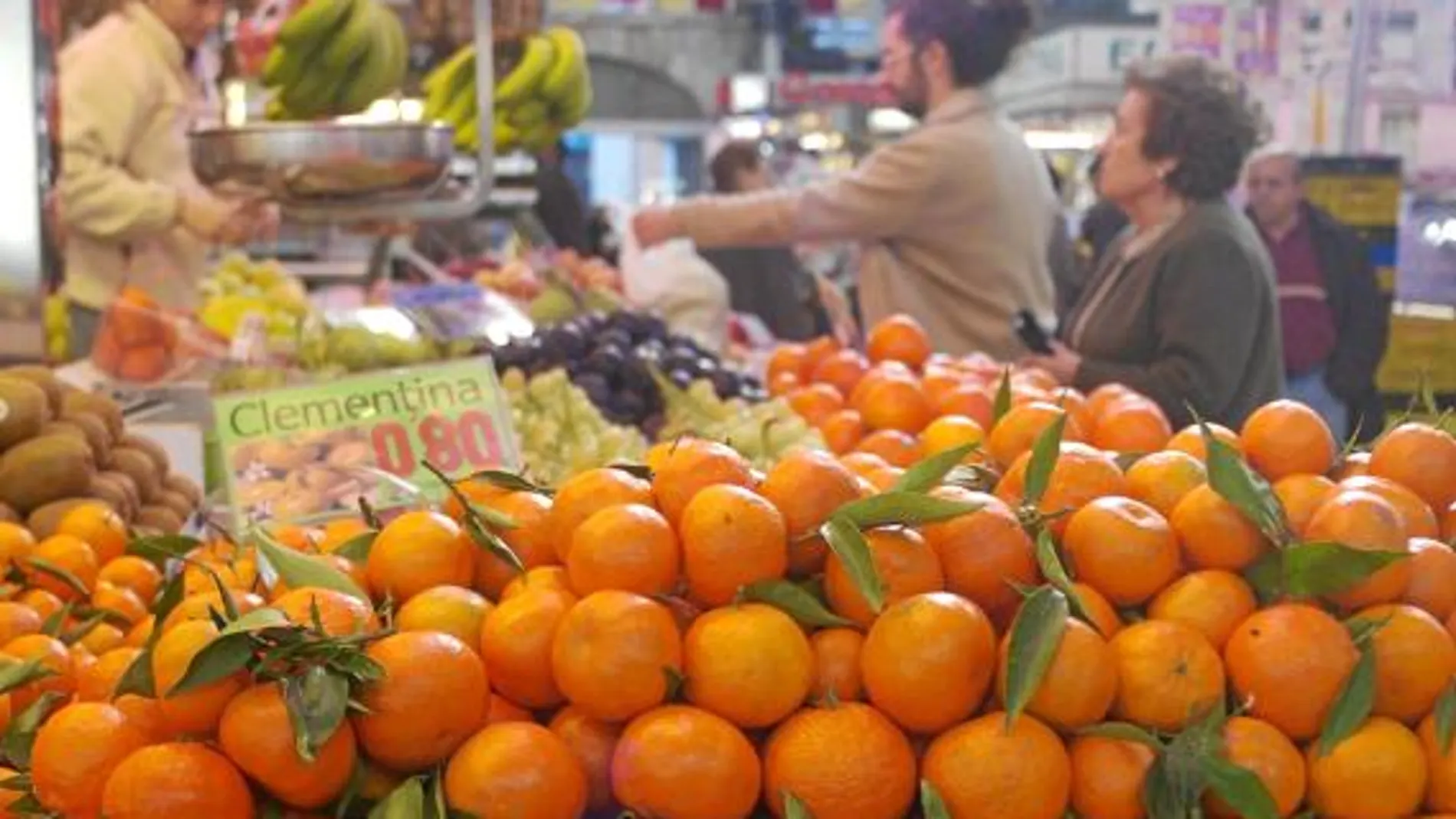 Las exportaciones de clementinas marroquís aumentarán un 25 por ciento