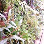 Crean un sistema que integra la naturaleza en los edificios