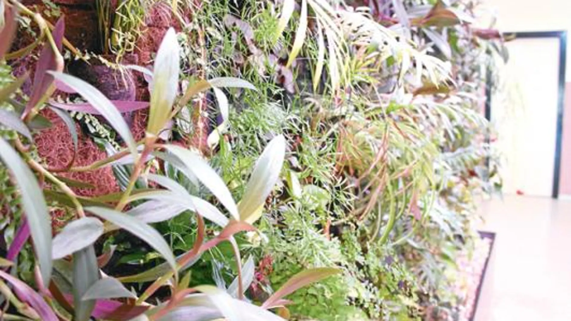 Crean un sistema que integra la naturaleza en los edificios
