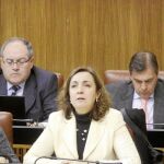 La parlamentaria del PP Ana María Corredera interpeló a la consejera de Salud, María Jesús Montero