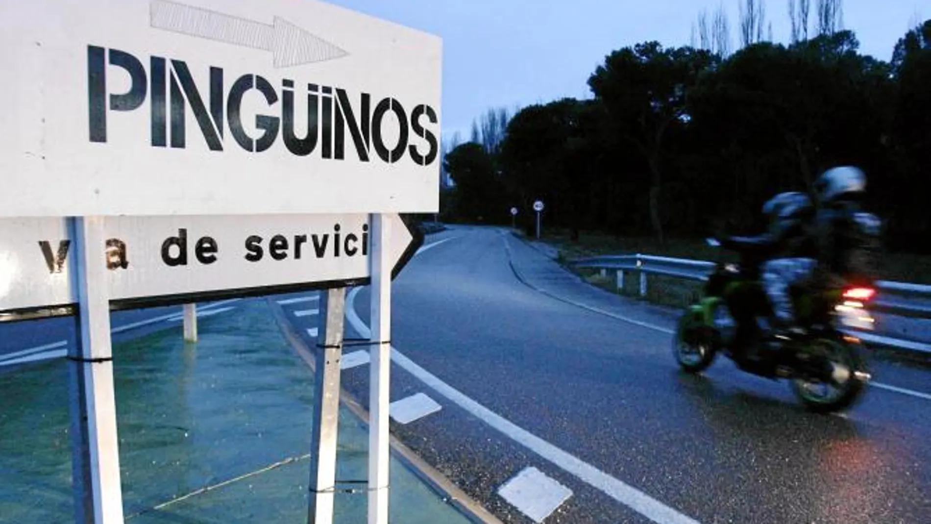 La imagen de Marco Simoncelli encabezará el desfile de Pingüinos 2012