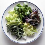 El producto afectado se comercializa con el nombre de Frozen Seasoned Seaweed Salad