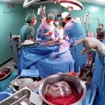 La comunidad médica debatirá desde mañana y hasta el sábado las novedades en torno a las dolencias hepáticas