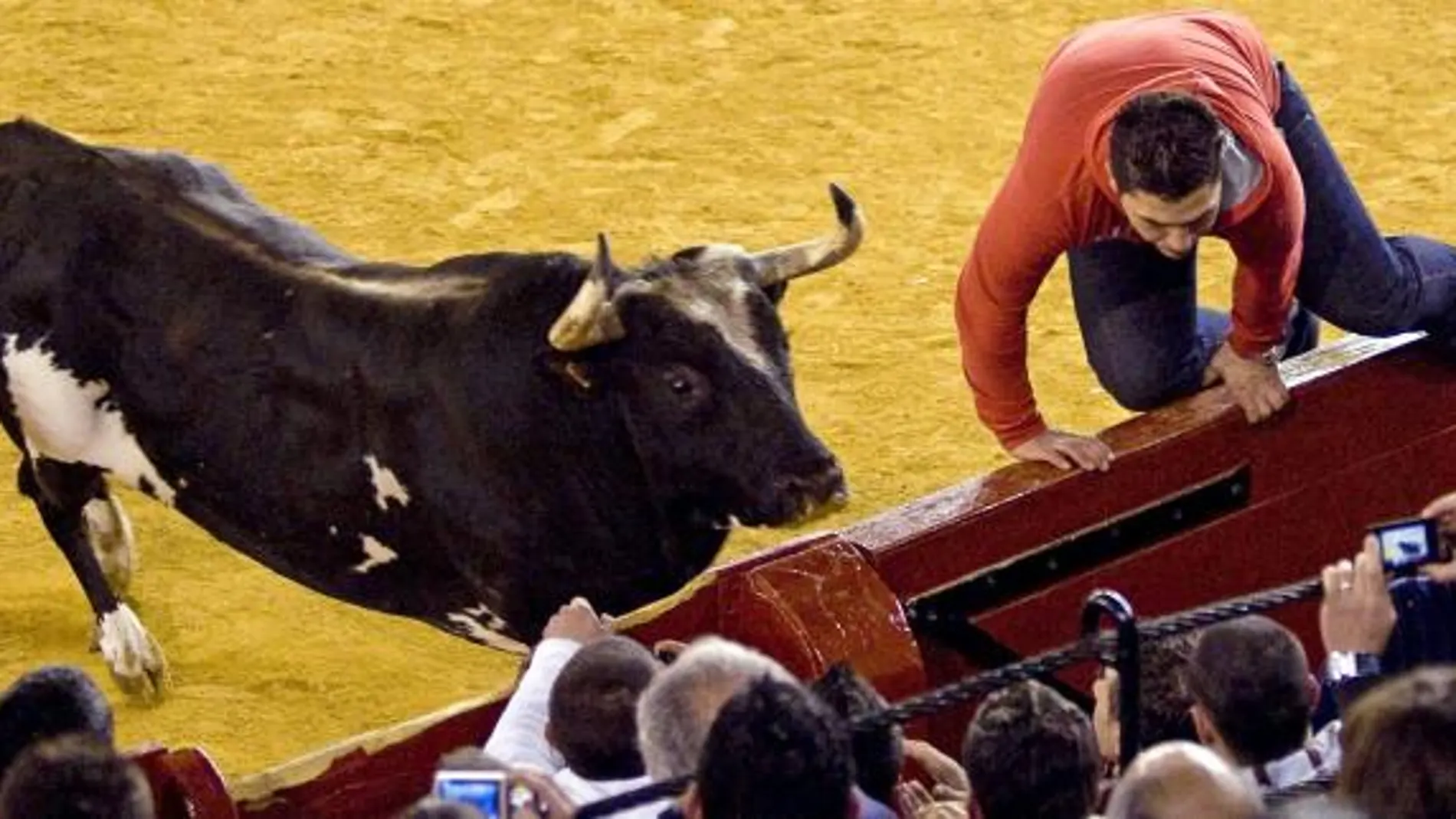 El toro «Ratón» embiste a un joven en un festejo el pasado mes de marzo