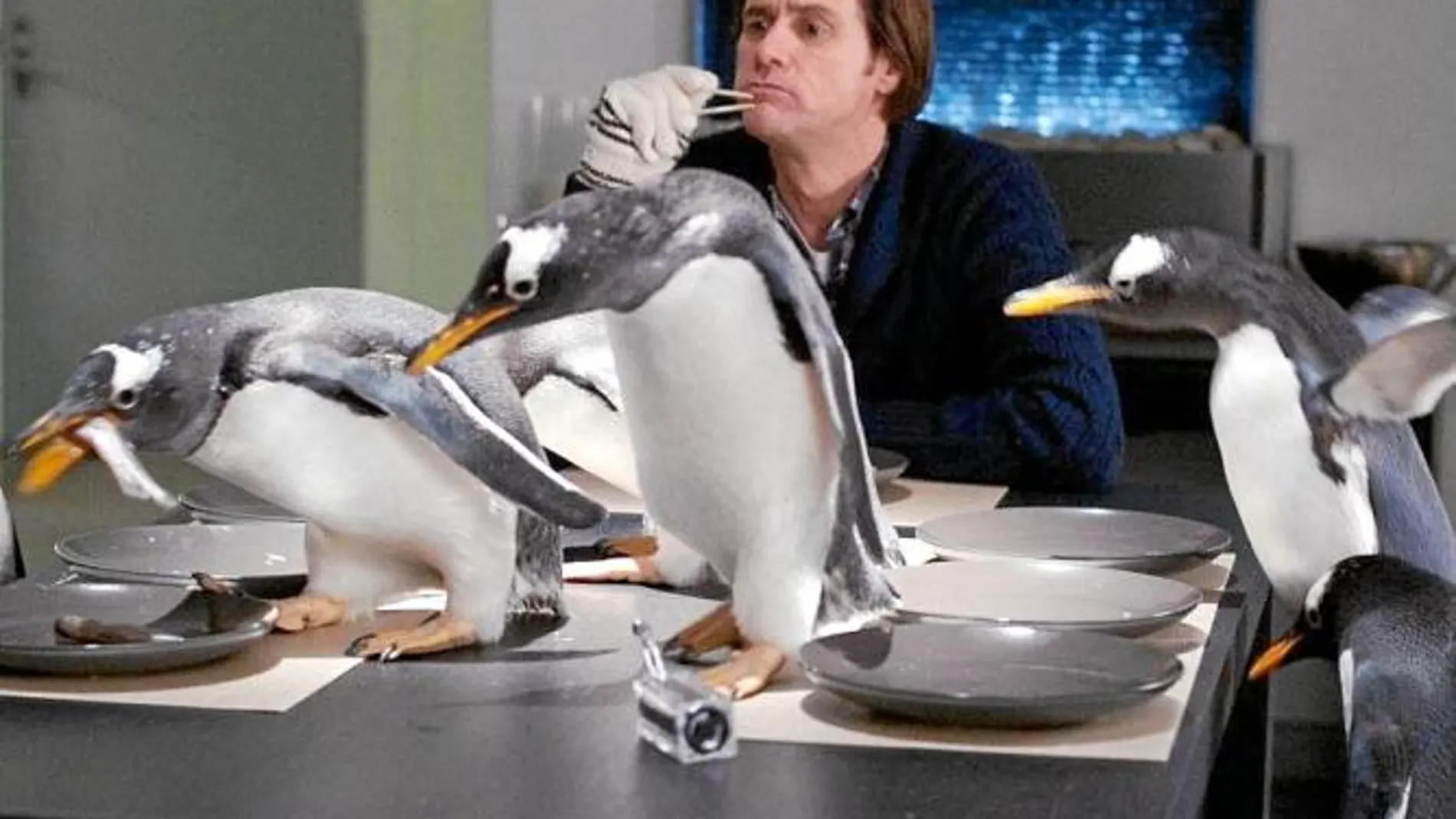 HERENCIA. El actor, uno de los cómicos más taquilleros, recibe a unos pingüinos como legado