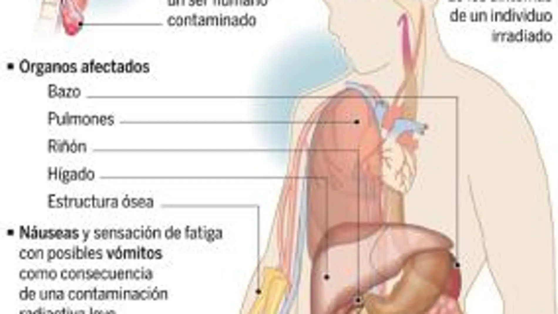 DESCARGUE EL GRÁFICO COMPLETO EN CONTENIDOS RELACIONADOS