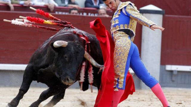 toros_buena