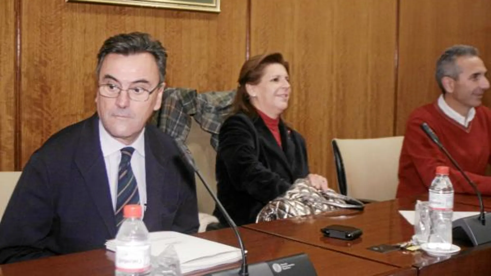 El consejero mayor de la Cámara de Cuentas, Rafael Navas (izquierda), durante su intervención ayer en el Parlamento de Andalucía
