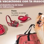 Consejos para viajar con animales