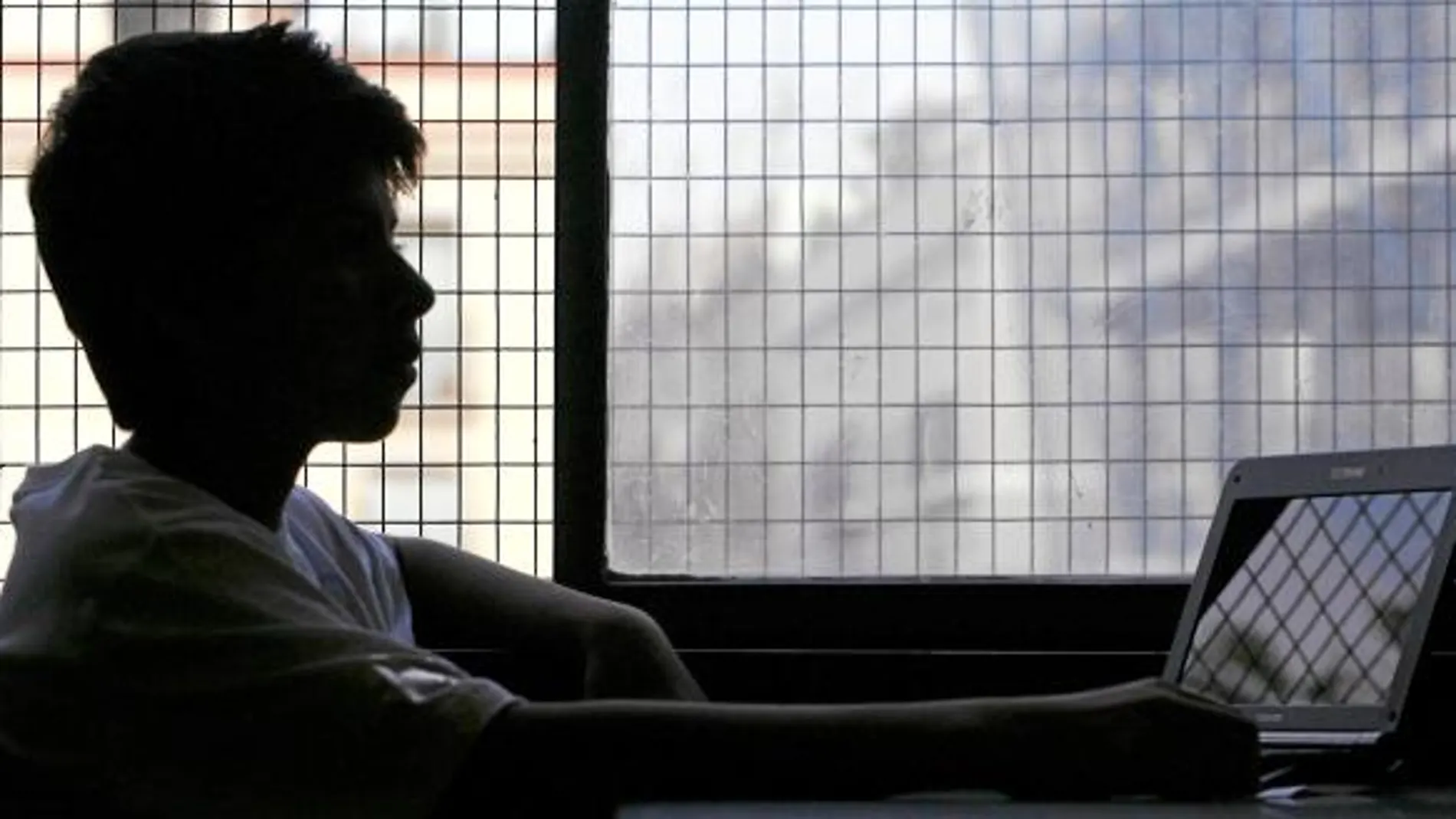 El 24% de los encuestados realizó al menos una gestión administrativa oficial a través de internet