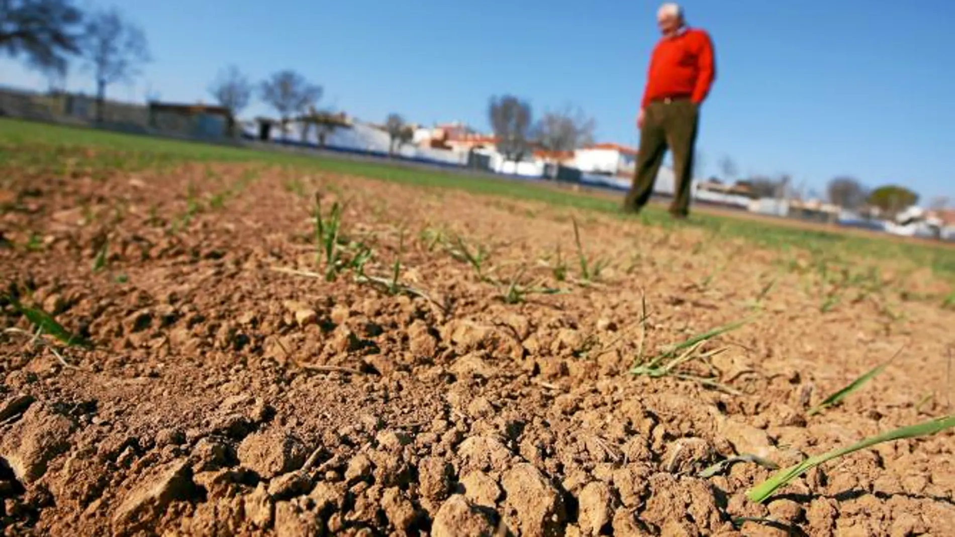 El campo español abocado a la ruina por la sequía