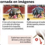 DESCARGUE EL GRÁFICO COMPLETO EN «CONTENIDOS RELACIONADOS»