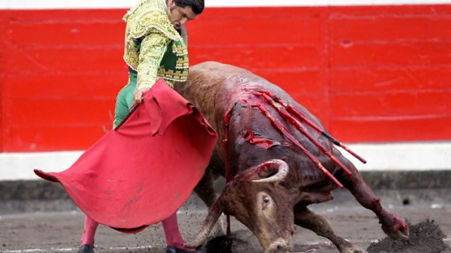 El sevillano traza un derechazo al gran cuarto de Núñez del Cuvillo