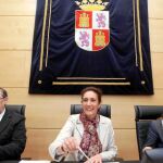 Del Olmo explicará en las Cortes las medidas ‘anticrisis'
