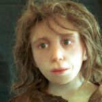 Reconstrucción por ordenador de un niño neandertal desarrollada por la Universidad de Zurich