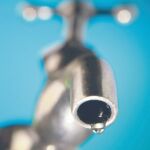¿Cuánta agua devora una hamburguesa?