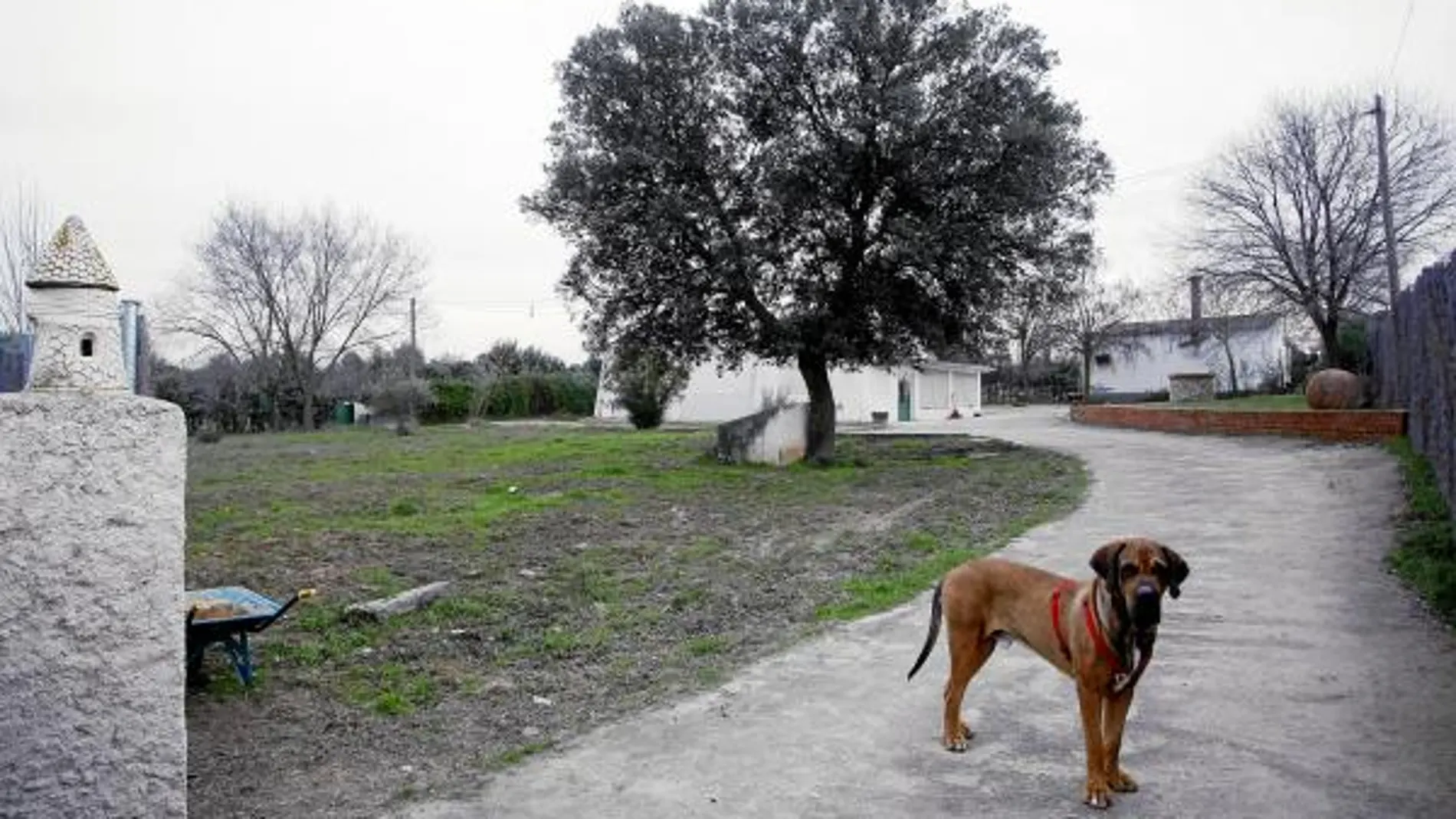 La finca era de difícil acceso y tenía numerosas medidas de seguridad