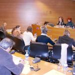 La Comisión sobre Violencia de Género ha aprobado todo por unanimidad