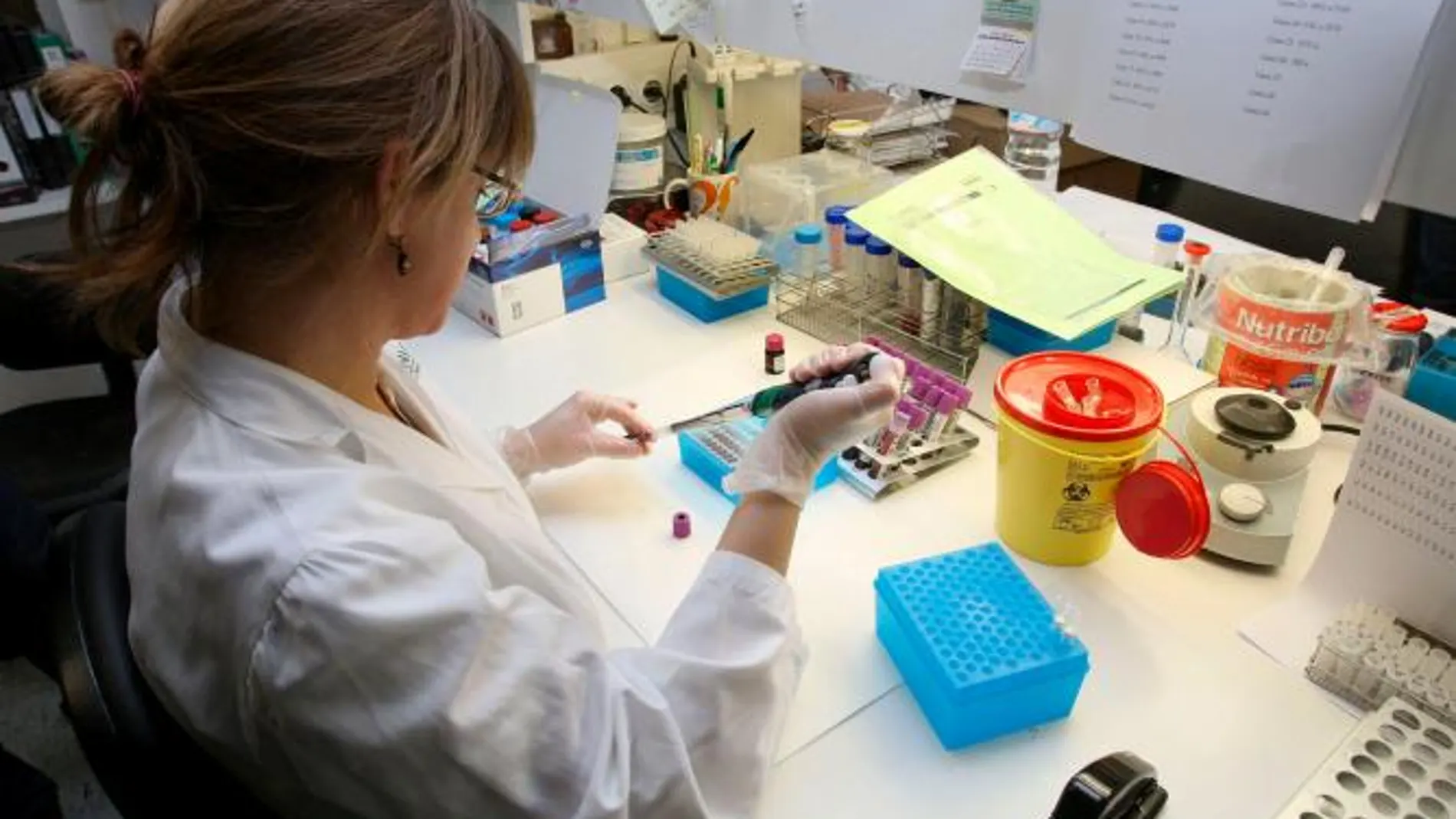 Las farmacias murcianas se suman a la campaña ‘el otro test’ para concienciar en la detección precoz del cáncer de colon