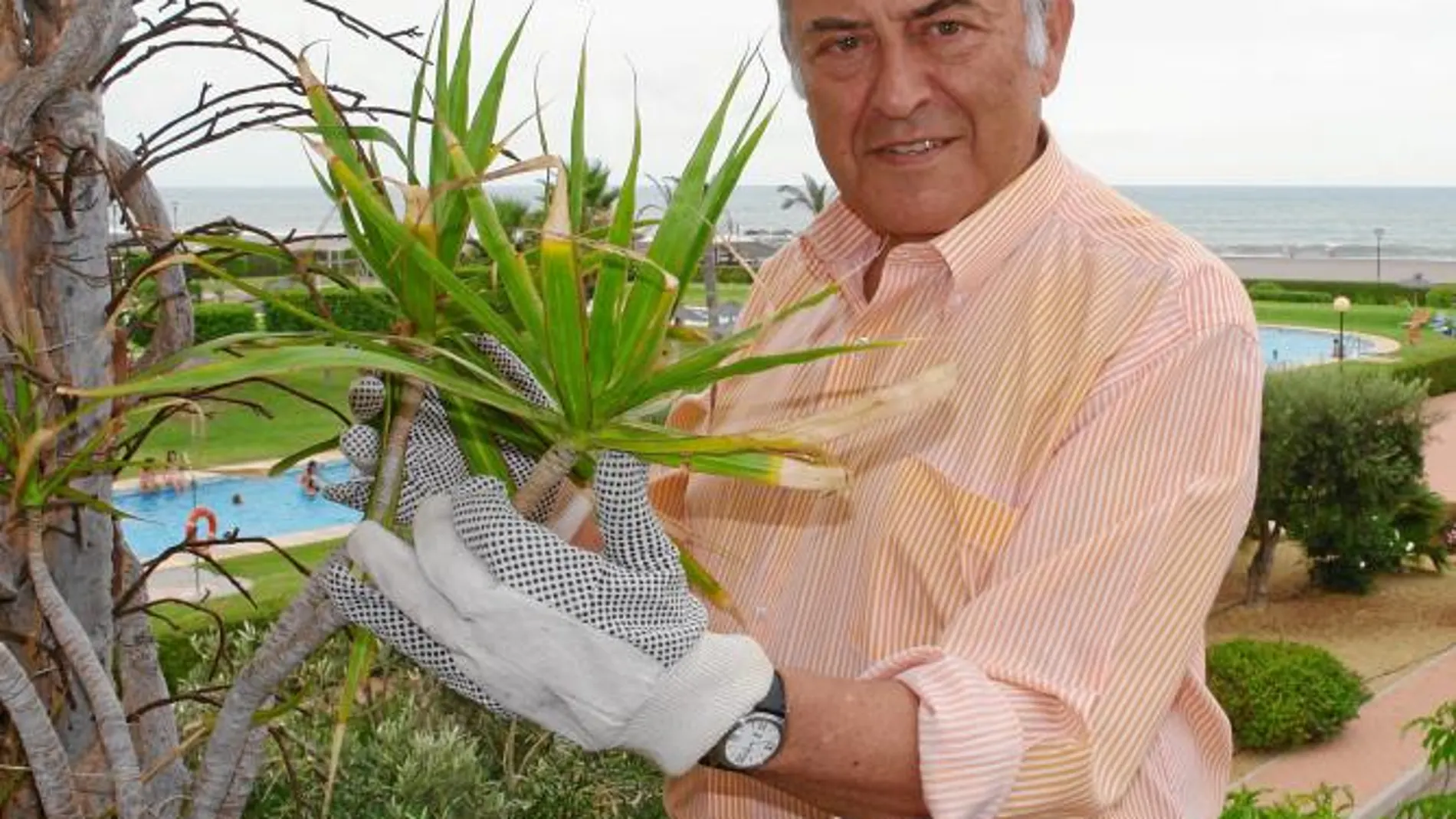 Jose Antonio Marina, con sus plantas en su casa almeriense de Vera