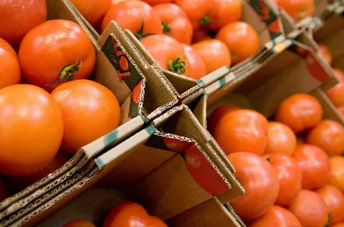 Cómo saber si los tomates son de Marruecos o España 