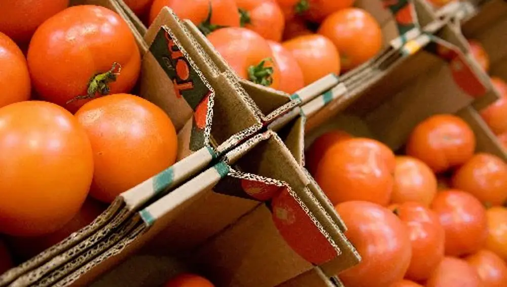 Los tomates son los alimentos más consumidos en España, solo por detrás de las patatas
