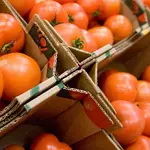  La primera ciudad española que acogió el tomate de América creía que era tóxico