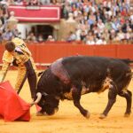 ag_toros_juli_perera_luque_217