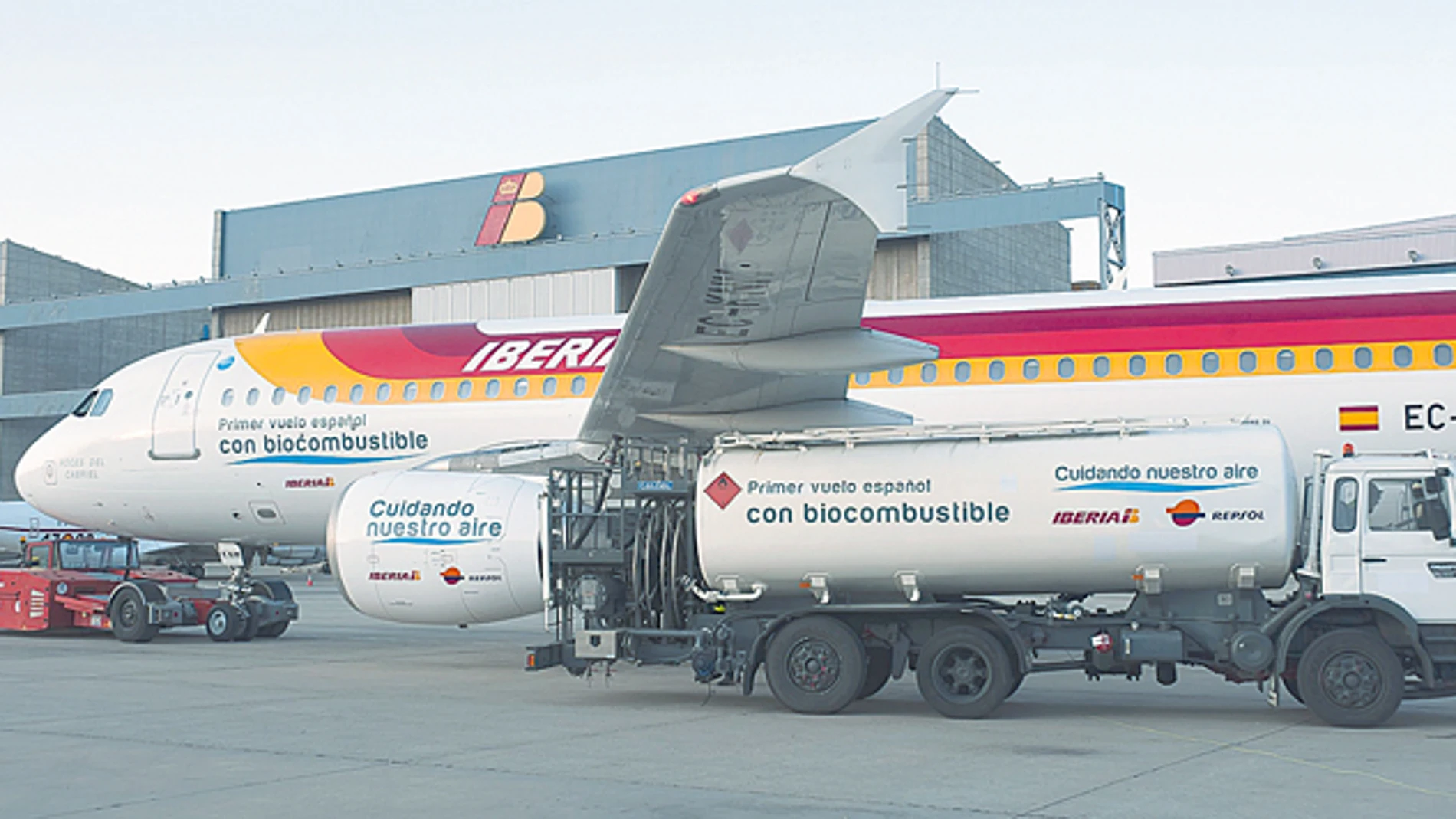 1.500 kilos menos de CO2 en un vuelo de Iberia gracias a la camelina