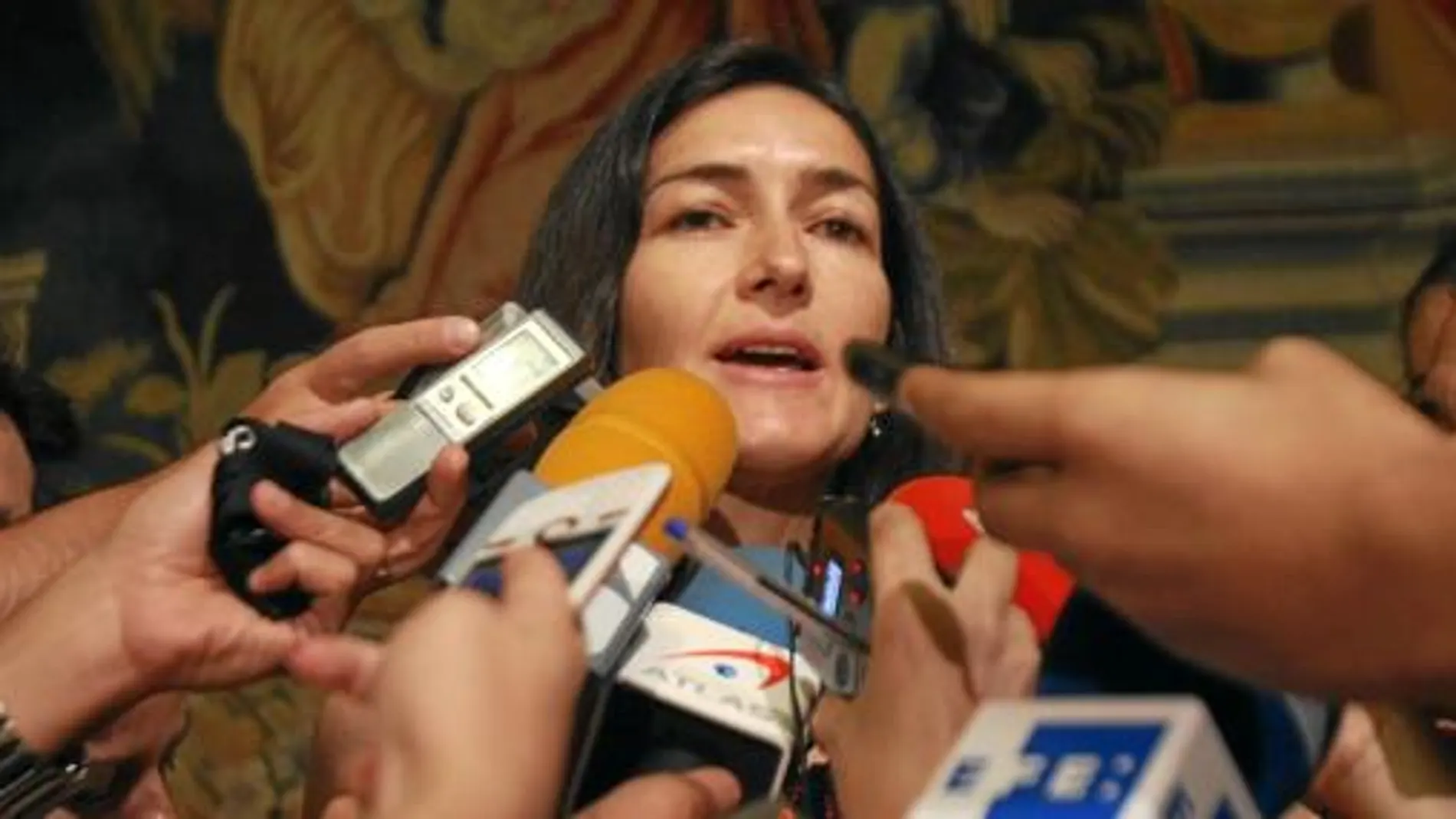 La ministra Sinde contesta las preguntas de los periodistas