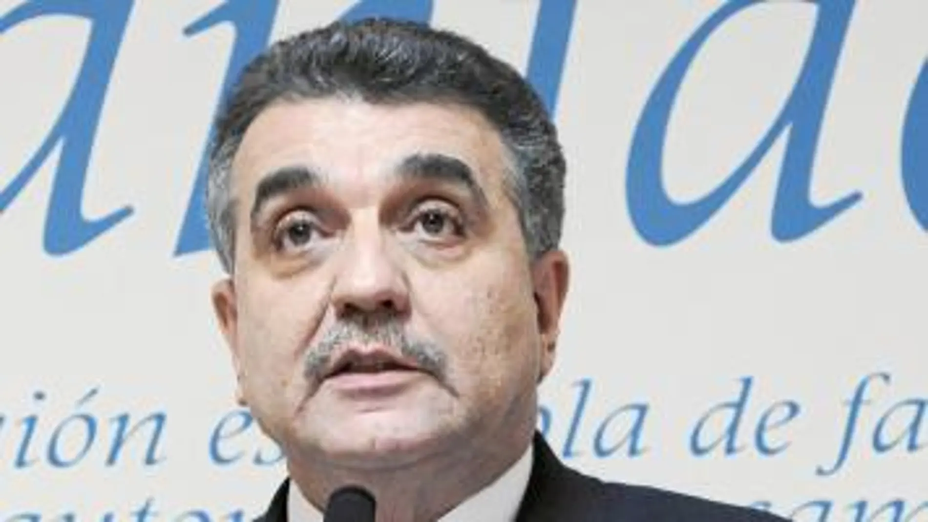 Francisco Gª Sanz, presidente de Anfac y vicepresidente de VAG