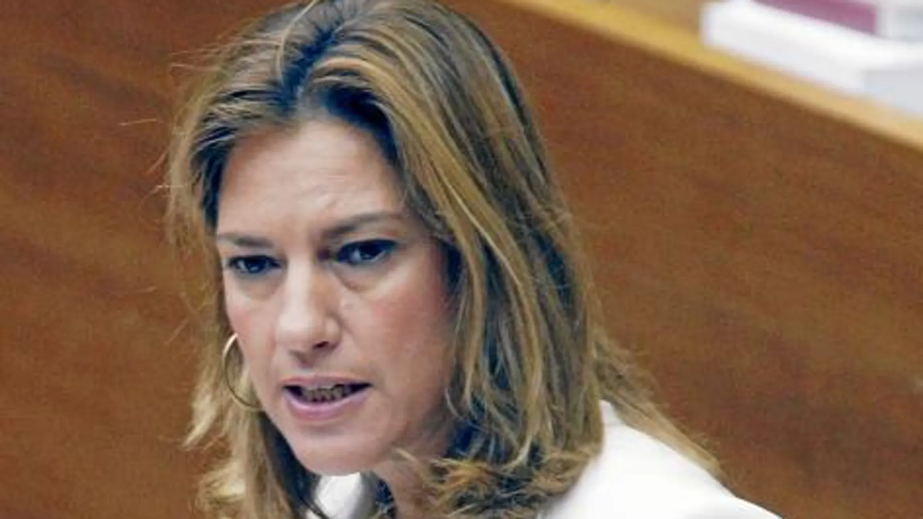 Paula Sánchez de León