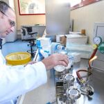 Acercar la ciencia sobre todo a los niños, objetivo de esta iniciativa
