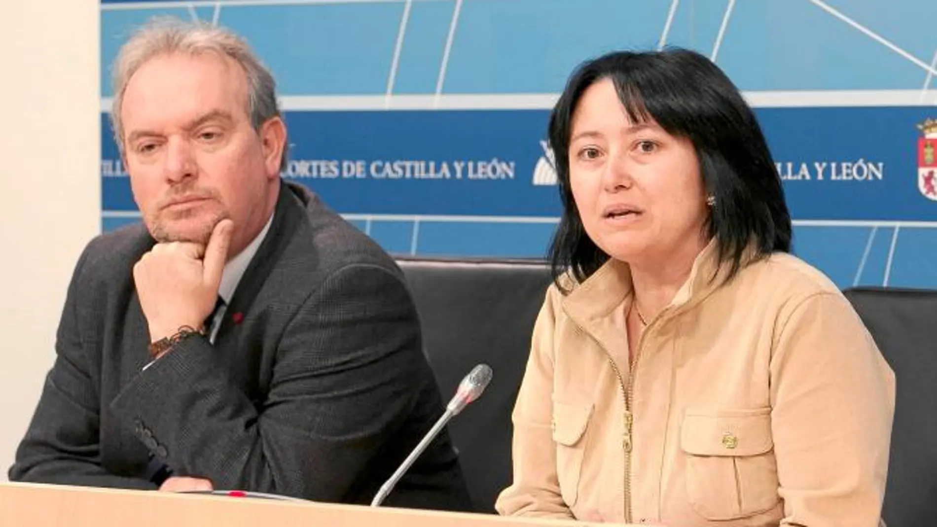 El PSOE denuncia «recortes puros y duros» en Educación