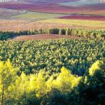 Paisajes del noroeste murciano