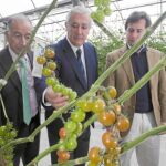 Javier Arenas y el presidente del PP en Almería, Gabriel Amat (i), ayer en una visita en un invernadero de El Ejido