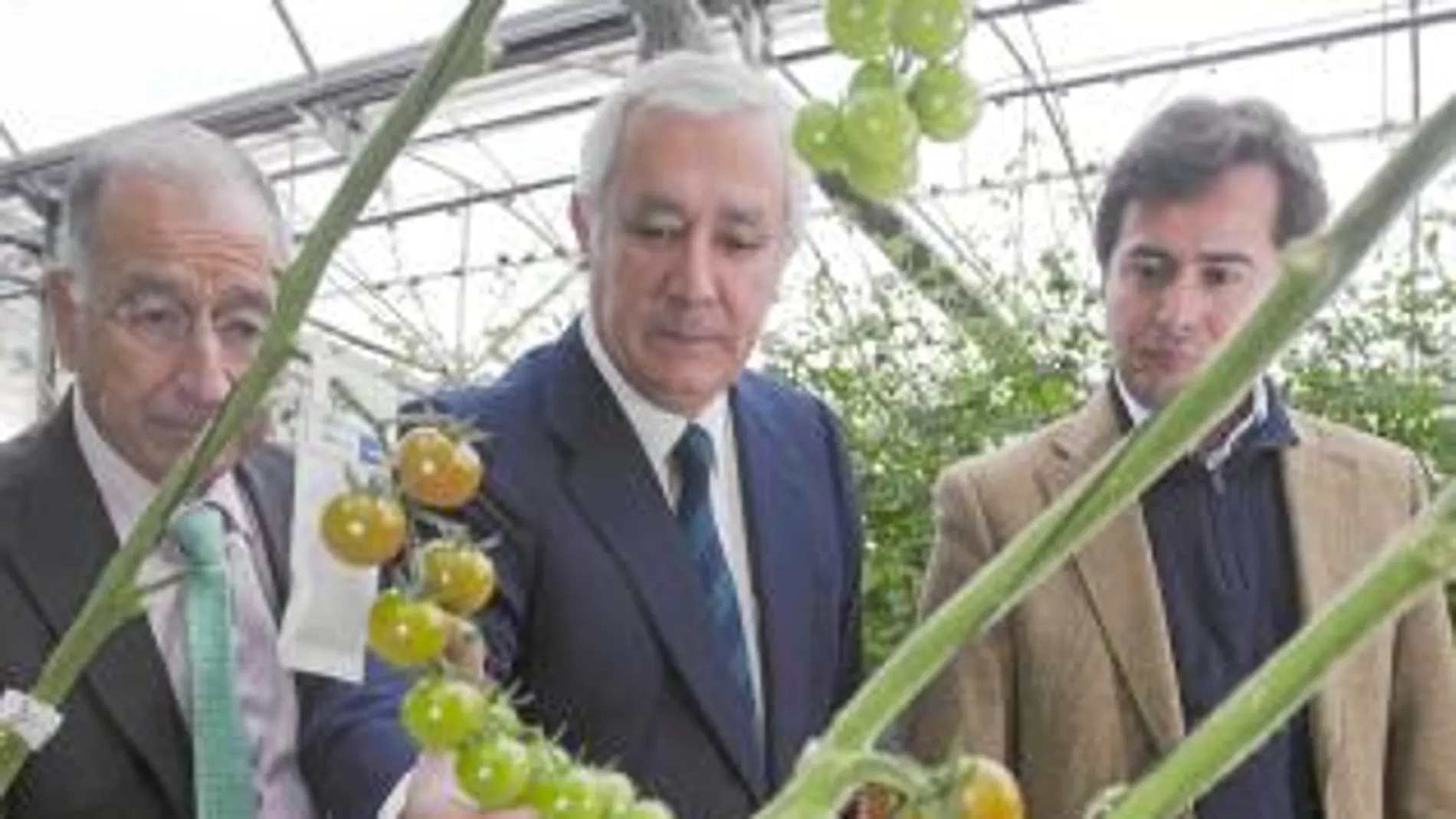 Javier Arenas y el presidente del PP en Almería, Gabriel Amat (i), ayer en una visita en un invernadero de El Ejido