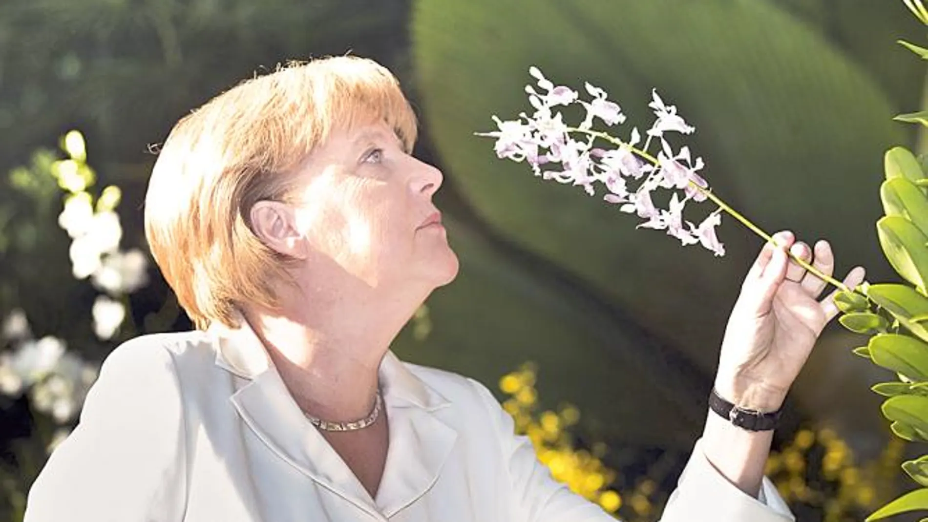 La canciller Merkel este año se ha quedado sin vacaciones