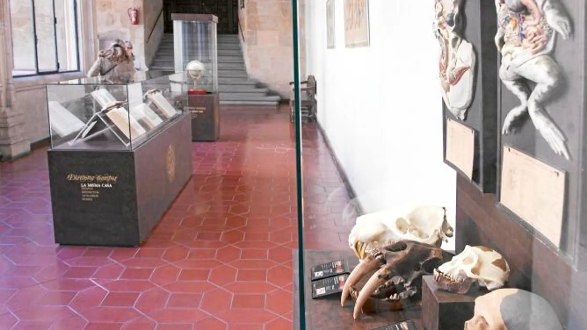 La Universidad recupera para Salamanca y turistas el Patio de Escuelas Mayores