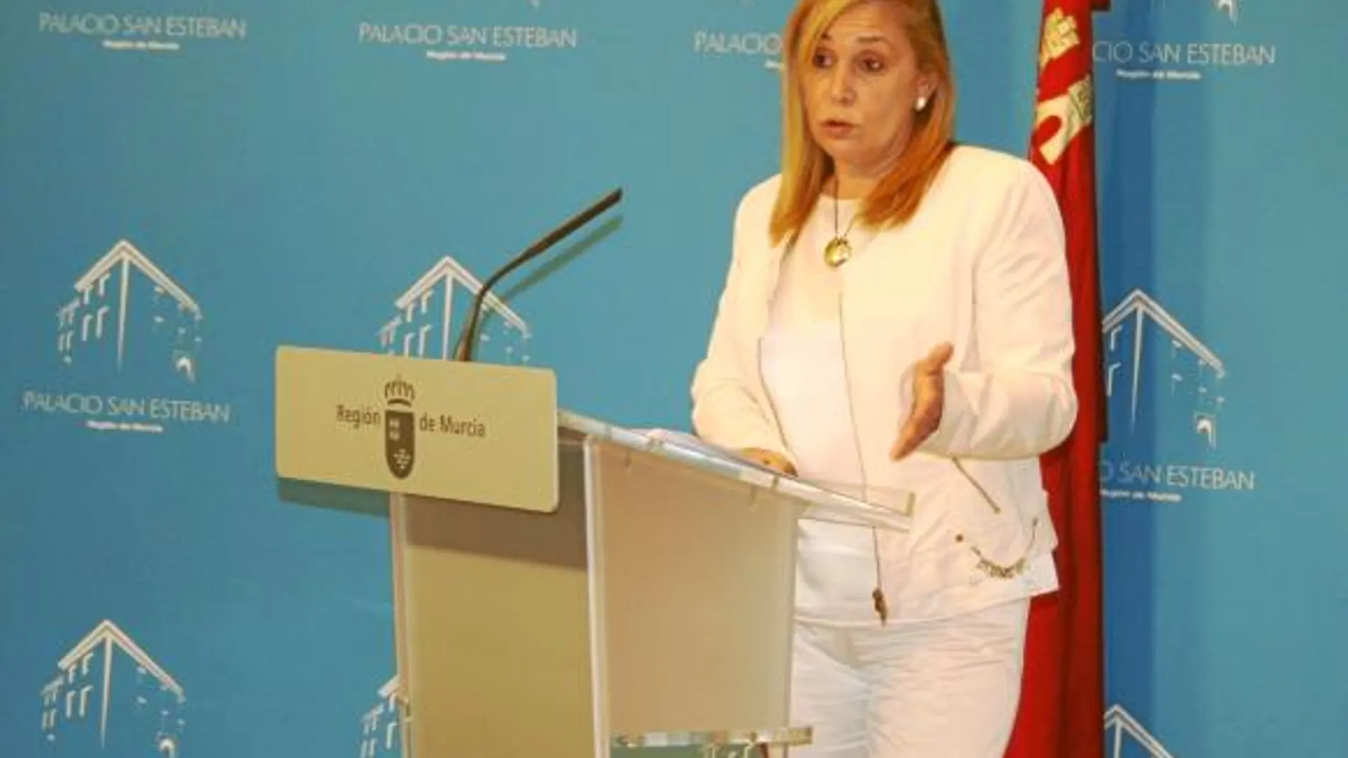 Reverte solicita al Gobierno que para redactar Estatutos use la Constitución
