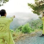 Las empresas forestales alertan de recortes en la prevención del fuego