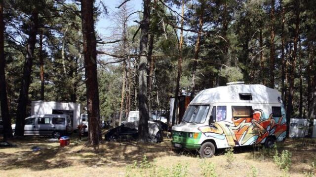 Tres mil jóvenes acampan ilegalmente en un pinar de Soria