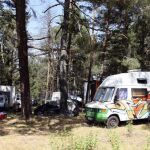 Tres mil jóvenes acampan ilegalmente en un pinar de Soria