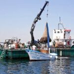 Las tareas de captura de medusas dentro del Mar Menor se llevan a cabo con gran celeridad y exactitud desde el viernes pasado para hacer más agradable y seguro el baño en las aguas murcianas