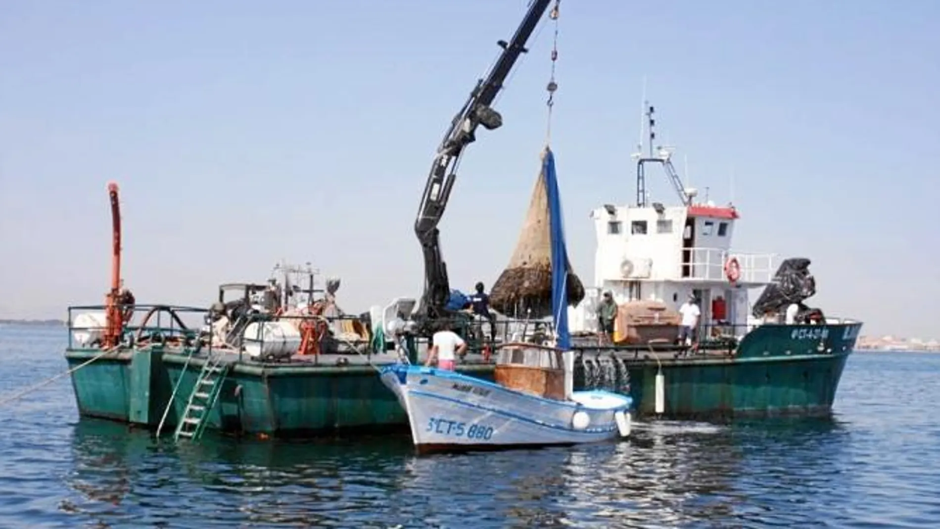 Las tareas de captura de medusas dentro del Mar Menor se llevan a cabo con gran celeridad y exactitud desde el viernes pasado para hacer más agradable y seguro el baño en las aguas murcianas