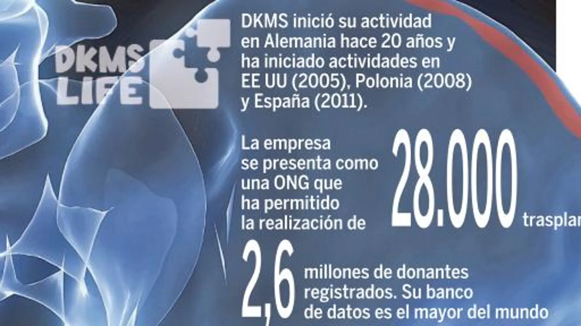 España seguirá comprando médulas a DKMS