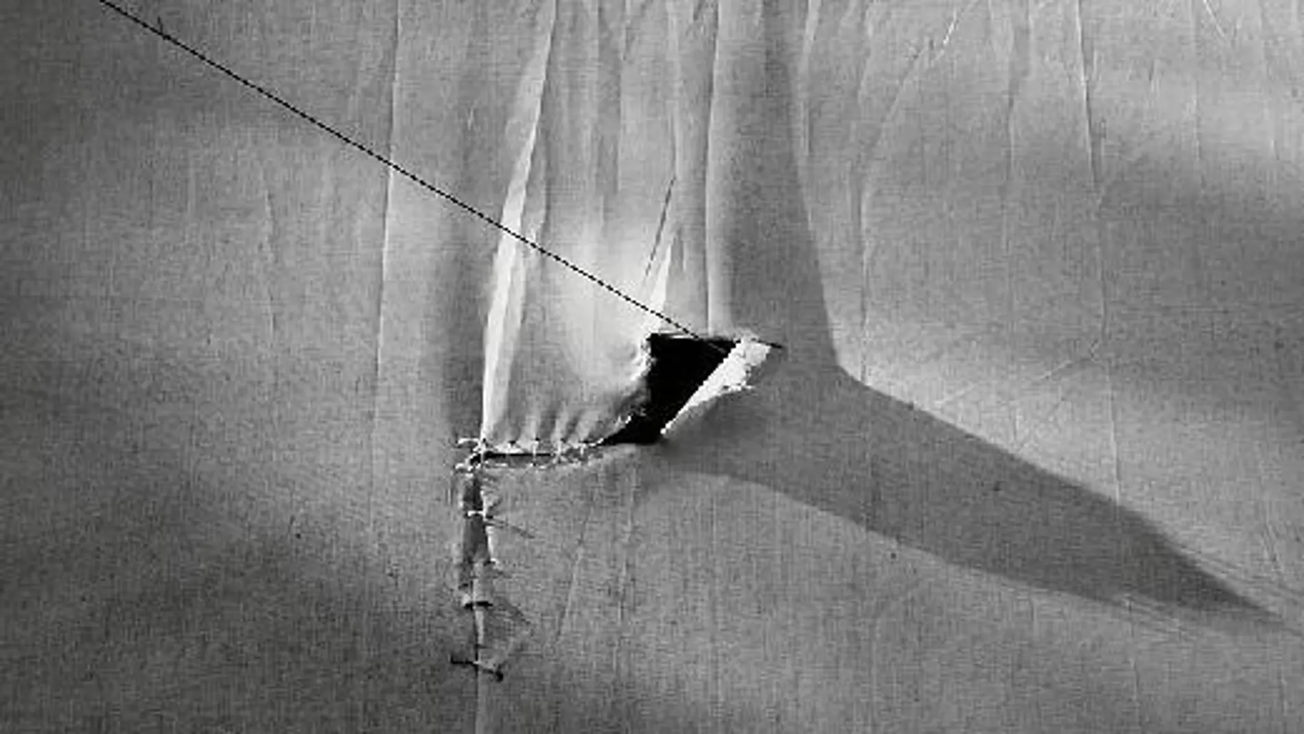 Manuel Vázquez inagura la exposición fotográfica «Metáforas visuales de un camaleón»