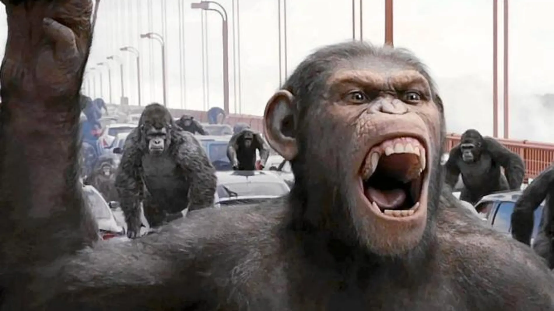 De la evolución a la revolución. Los primates se enfrentan a los hombres en el filme