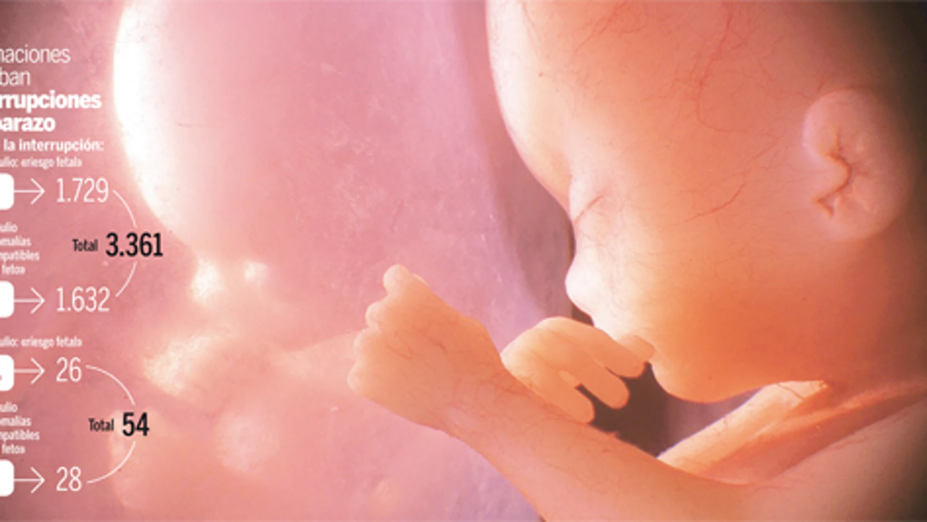 El feto sufre desde la mitad del embarazo